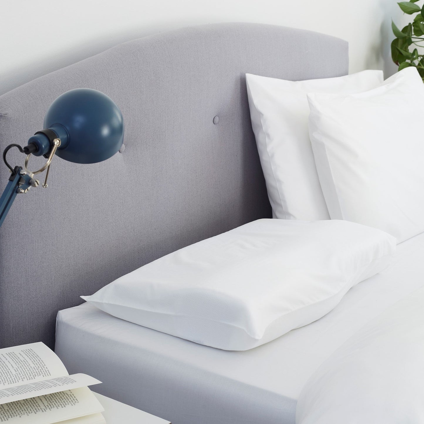 Groove 100% Cotton Pillowcase 2-Pack